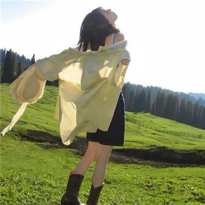圣诞王子：皇室婚礼